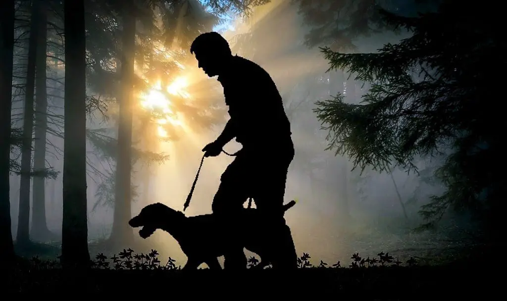 Person walking in the dark, with a dog