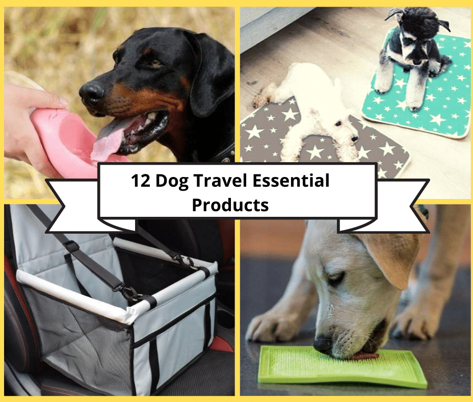 Best Dog Walking Destinations In Peterborough Dog Friendly scene