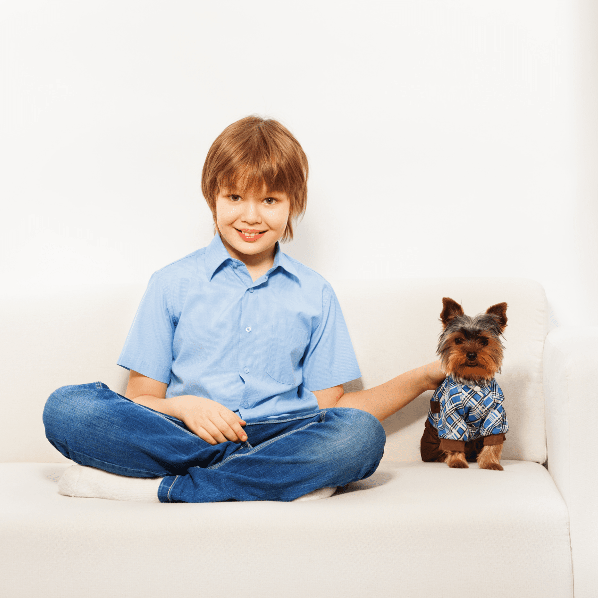 Are Yorkshire Terriers Good With Kids? - Dog Friendly Scene