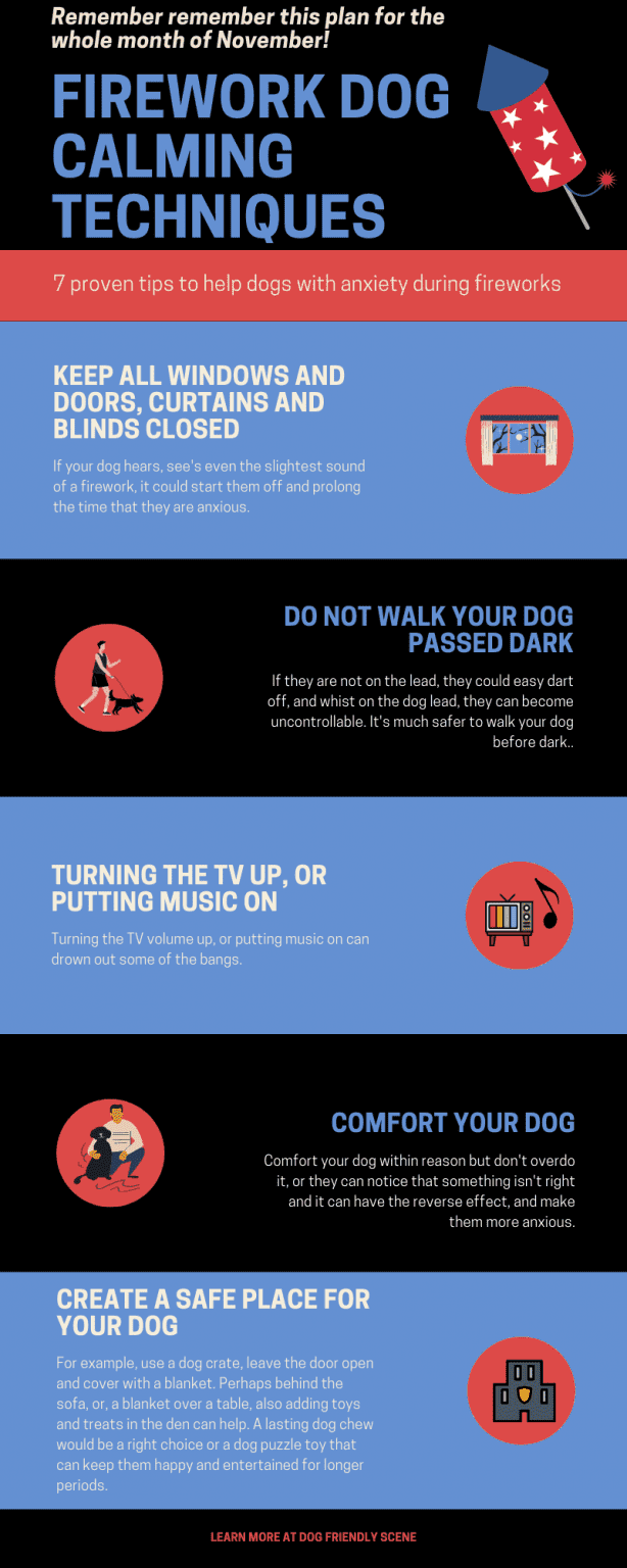 Fireworks Dog Anxiety Calming Help Dog Friendly Scene