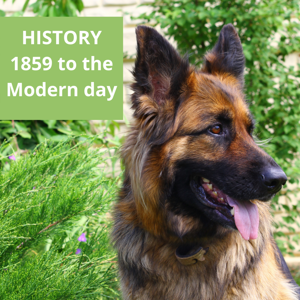 German Shepperd with text 1859 to the Modern day