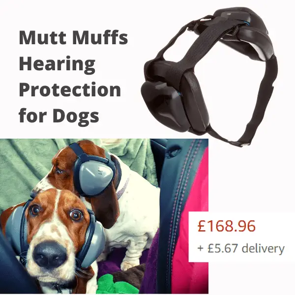 Dog ear muffs and dogs wearing them