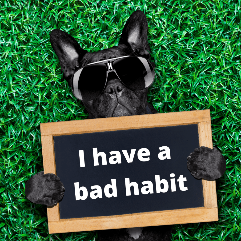 dog holding a sign saying I have a bad habit on the grass