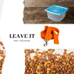 Tupperware box, dog lead and treats