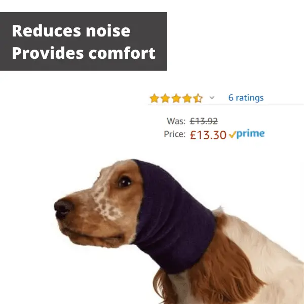 a dog wearing a snood over ears