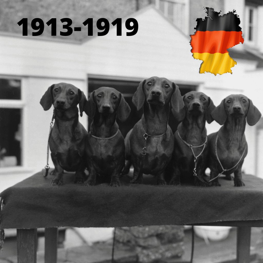 Dach dog statues - 1913-1919
