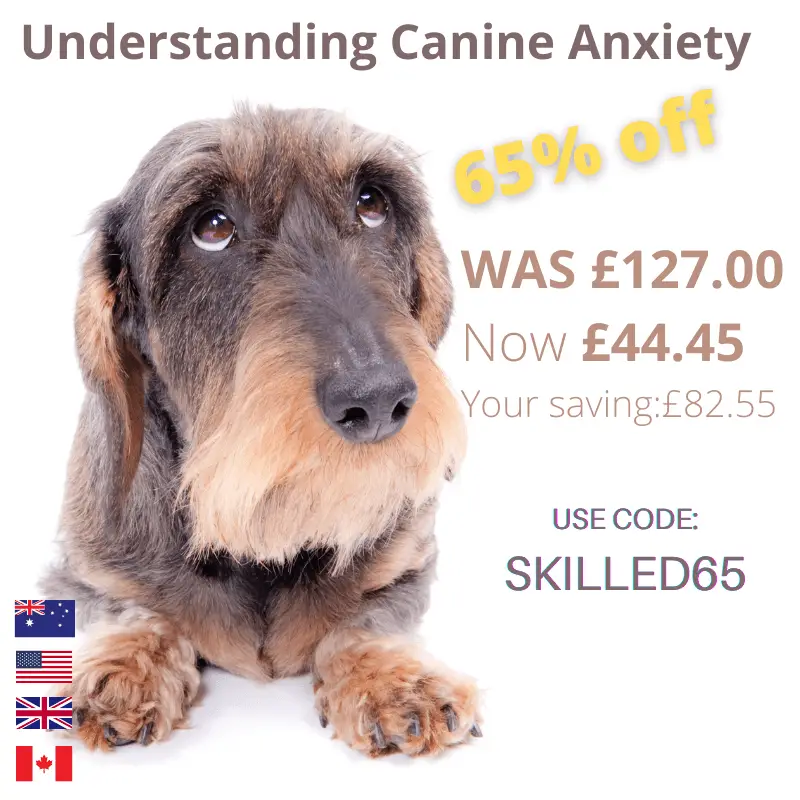 Canine Anxiety course