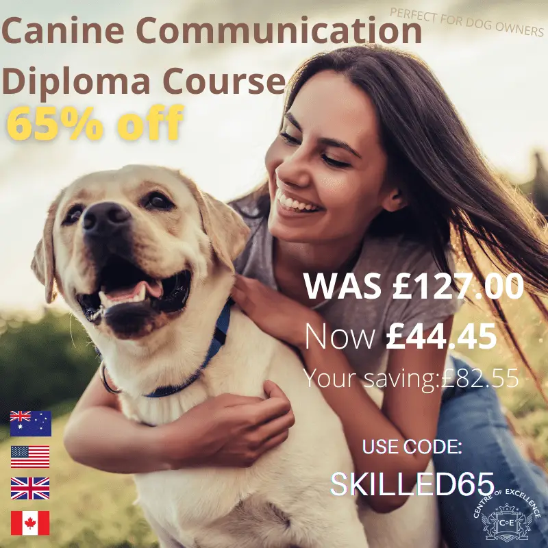 Canine Communication Diploma Course