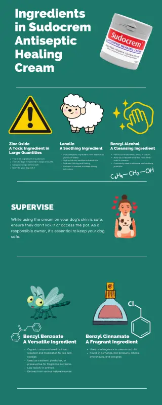 1. Infographic titled: "Ingredients in Sudocrem Antiseptic Healing Cream"
2. Section titled "Zinc Oxide: A Toxic Ingredient". Includes text about it being a main ingredient in Sudocrem that's toxic to dogs if ingested but safe for skin application. Features an image of zinc oxide and a warning sign. 
3. Section titled "Lanolin: A Soothing Ingredient". Includes text about its source from sheep, its skin-soothing properties and its safety for sheep during extraction. Features an image of a sheep.
4. Section titled "Benzyl Alcohol: A Cleansing Ingredient". Includes text about it being a mild anaesthetic and cleanser that's less toxic when used in creams. Features an image of a cleaning icon.
5. Section titled "Benzyl Benzoate: A Versatile Ingredient". Includes text about its use as an insect repellent, solvent, and preservative with a low toxicity in animals. Features an image of an insect. 
6. Section titled "Benzyl Cinnamate: A Fragrant Ingredient". Includes text about its use for fragrance in various beauty and hygiene products. Features an image of a perfume bottle.
7. Layout concludes with an appealing, easy-to-follow design.