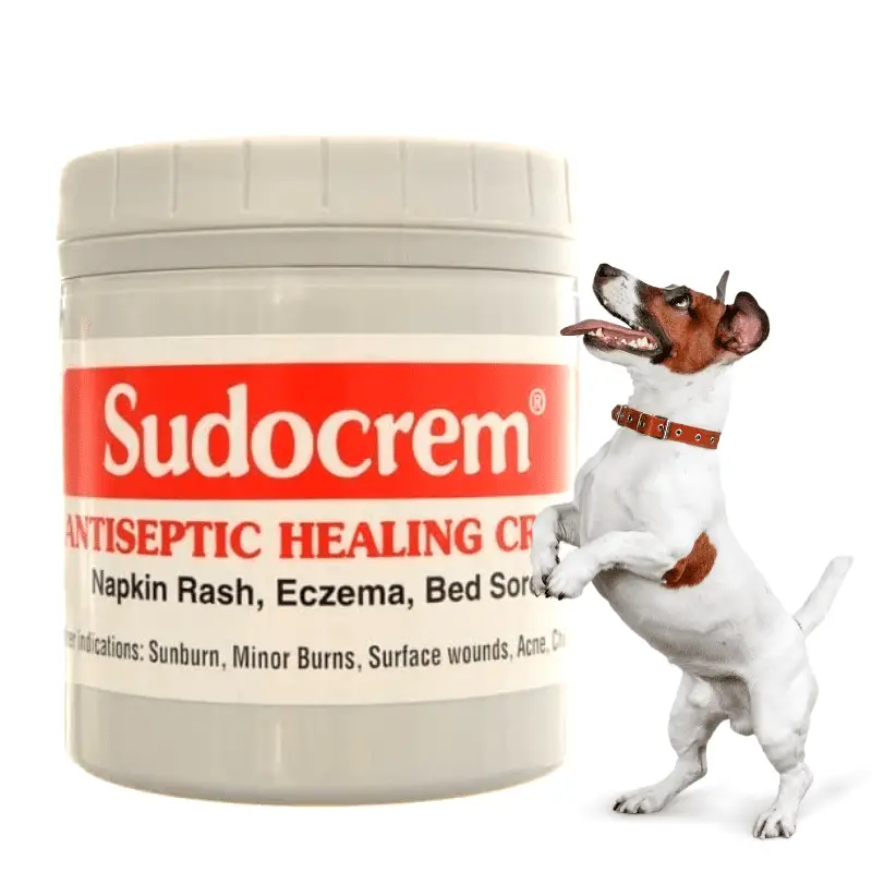 A pot of Sudocrem and a Jack Russell dog