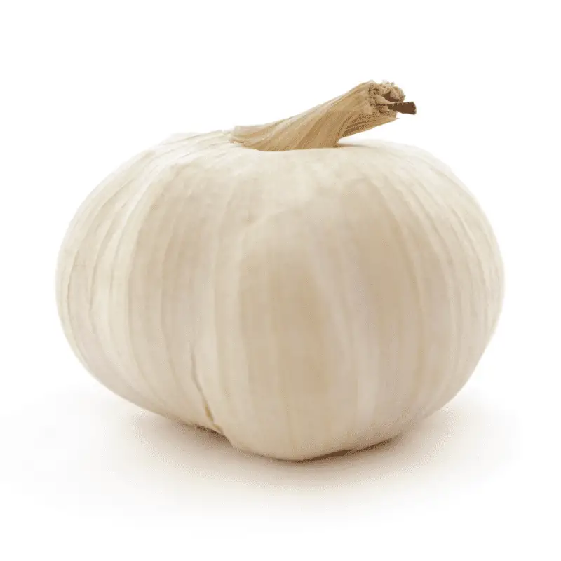 One Garlic