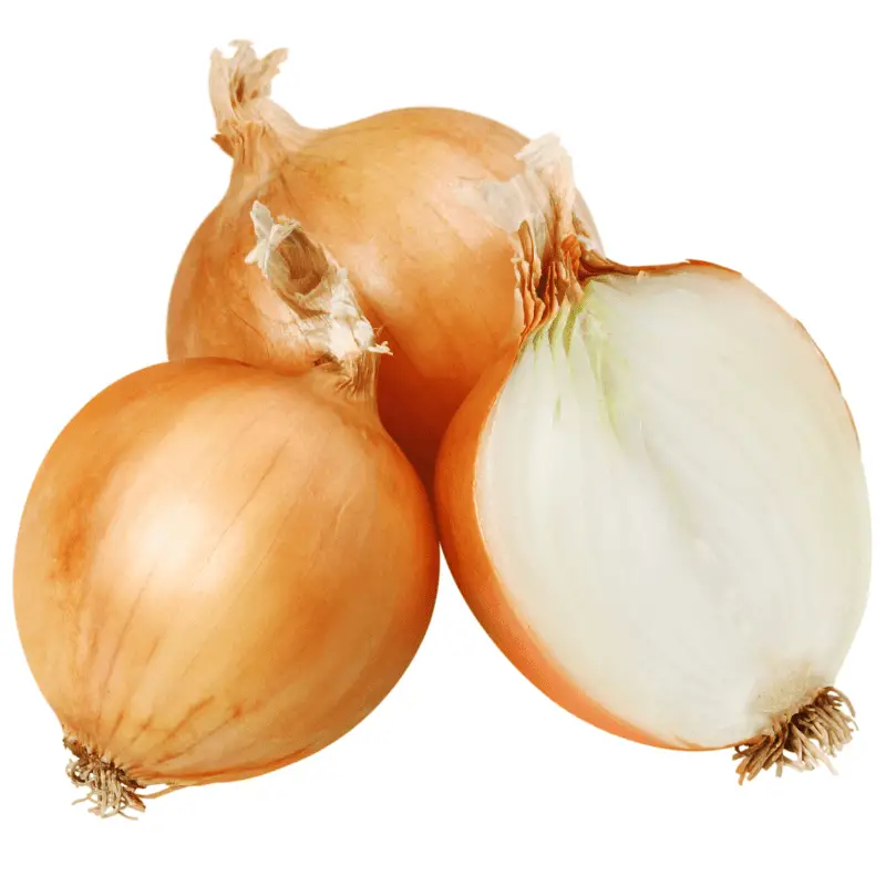 Three white onions one in half