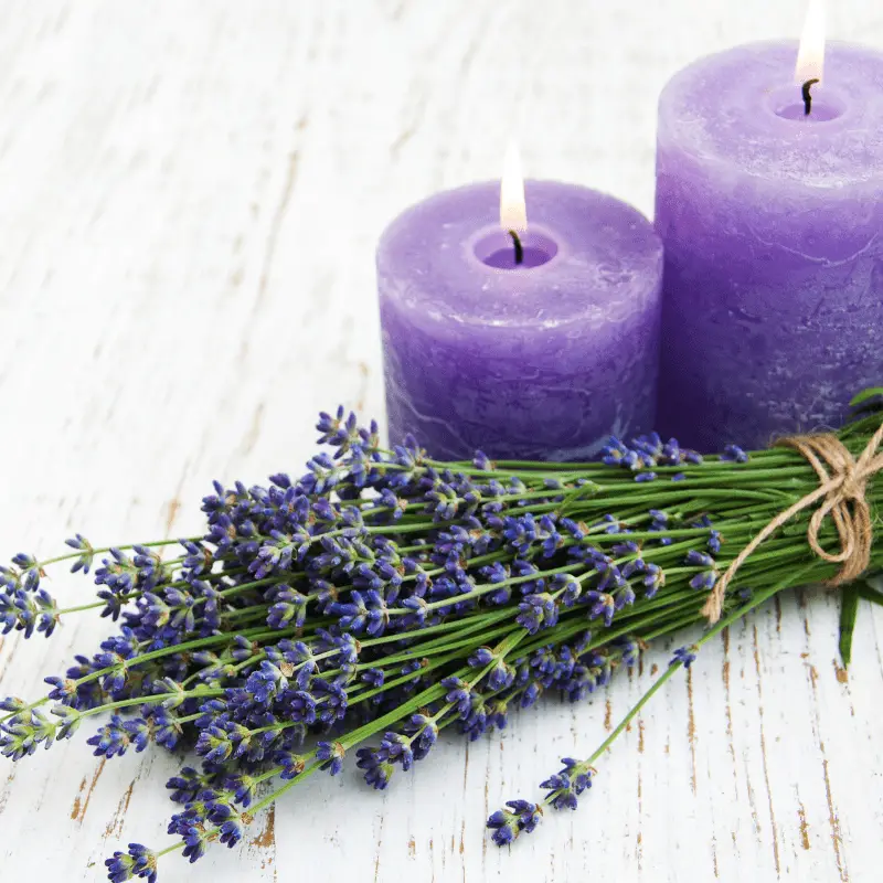 Lavender candles with lavender plants laying near by