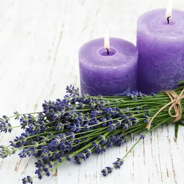 are aromatherapy candles safe for dogs