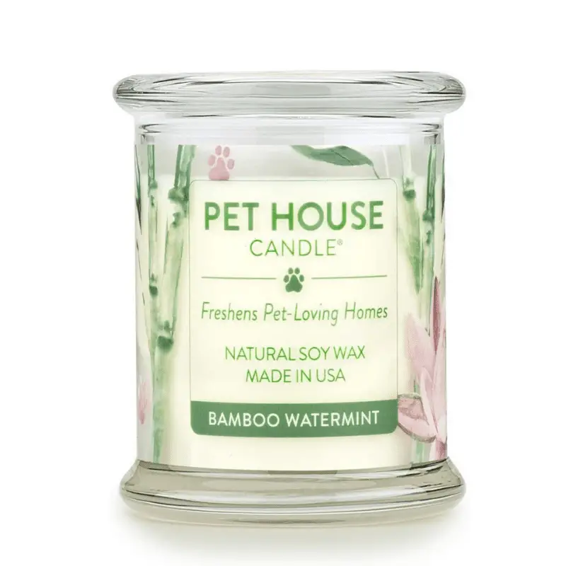 Are scented candles bad for dogs? - Dog Friendly Scene