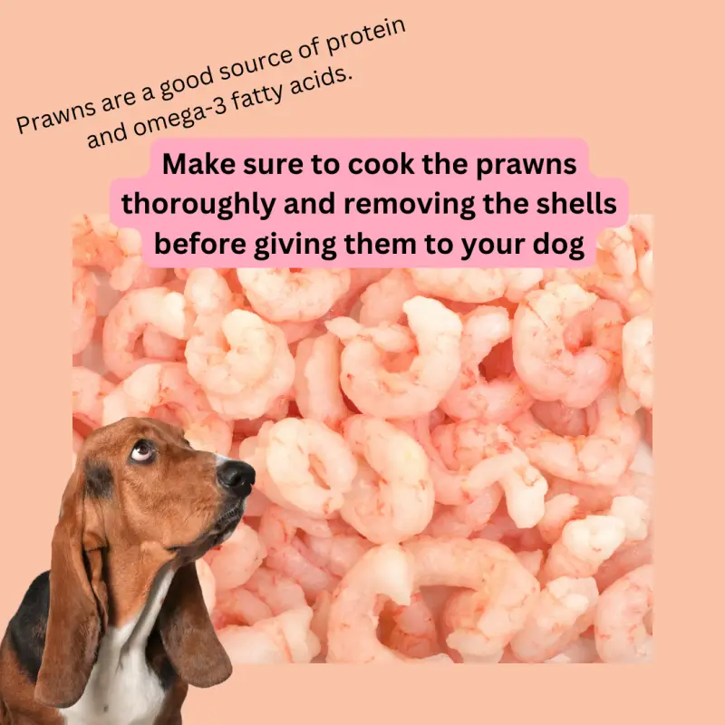 A plate of cooked prawns and a dog Text: Make sure to cook the prawns thoroughly and removing the shells before giving them to your dog