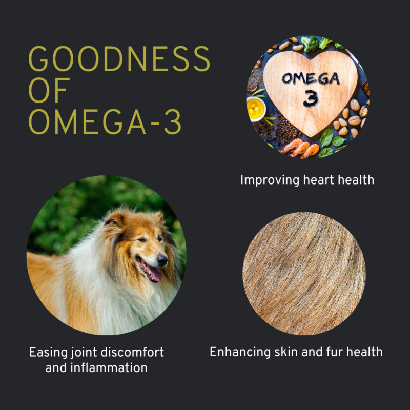 a dog with healthy fur, close up of fur, a sign with a heart around O-mega 3 text