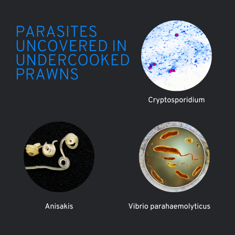 Images of parasites and bacteria that can be found in undercooked prawns, Anisakis, Cryptosporidium and Cryptosporidium