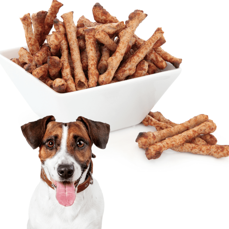 Twiglets and a Jack Russell Terrier