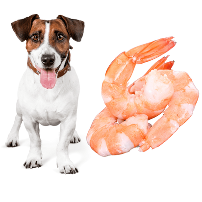 can i feed my dog previos frozen shrimp