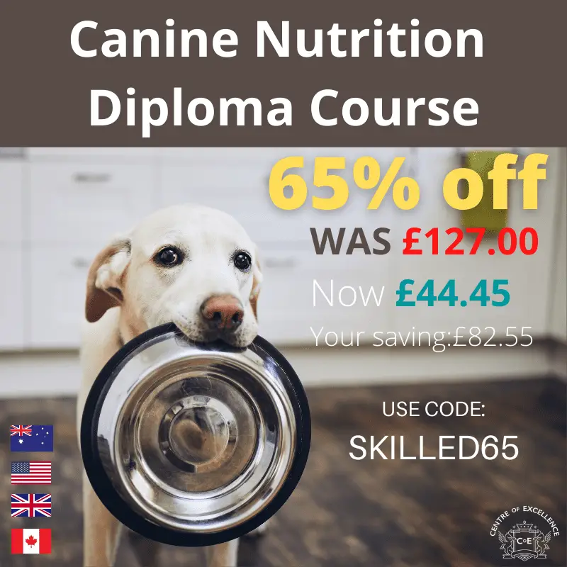 Canine Nutrition Diploma Course