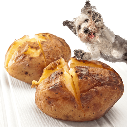 can you feed dogs potato skins