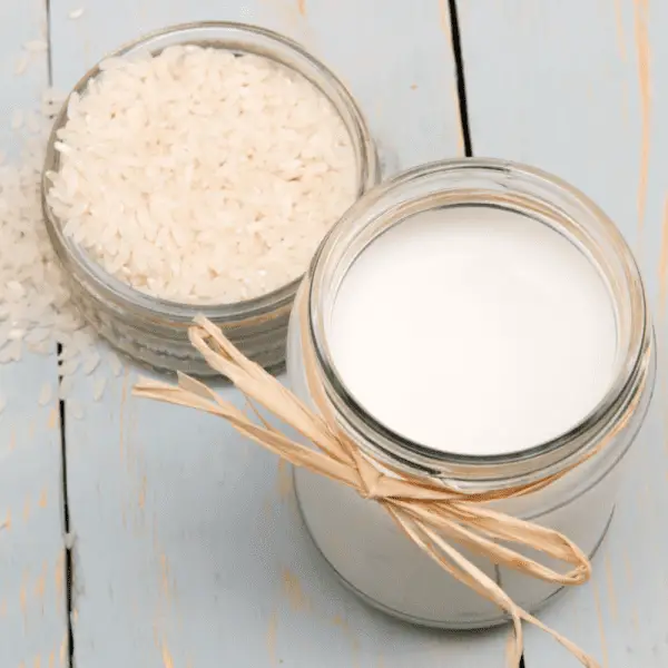 Can Dogs Drink PlantBased Milk? (Each Variety Explained