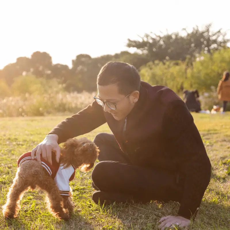 male owner sitting on lawn playing with poodle