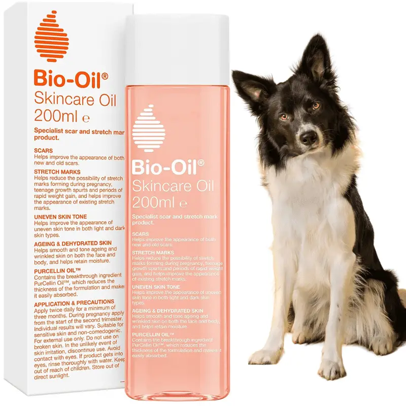 Bio-Oil and a dog looking at the camera on white background