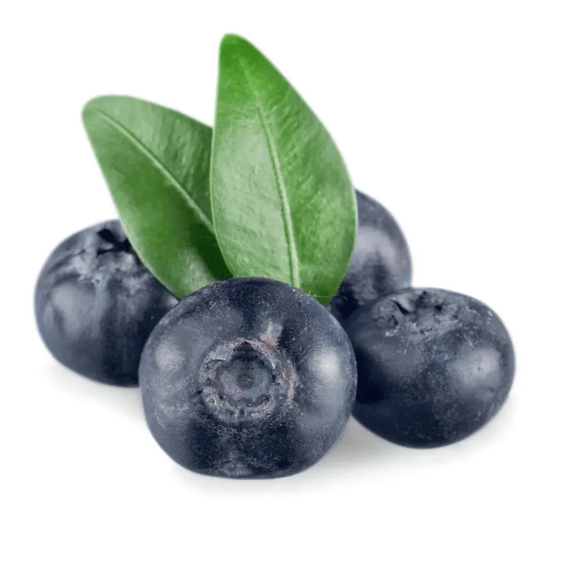 Blueberries