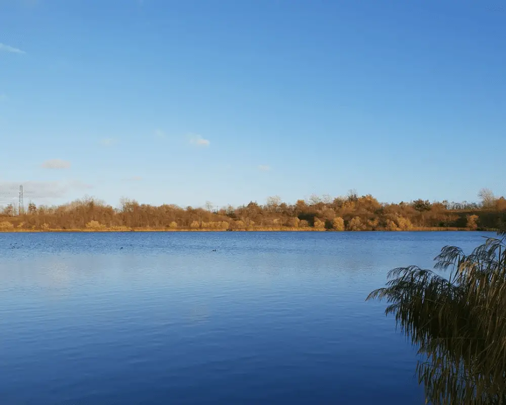 Crown Lakes Peterborough lake