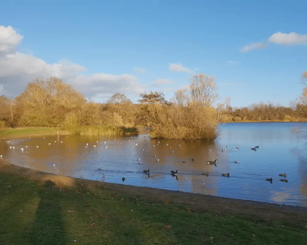 Crown Lakes Peterborough Over looking the lake