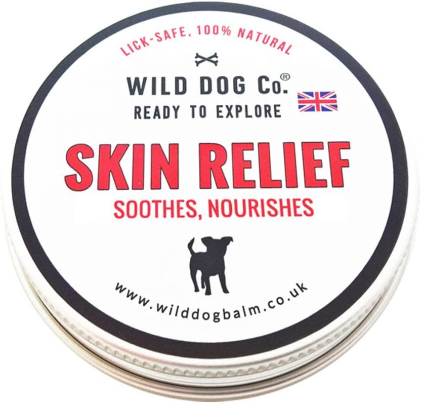 Human Products That You Can And Cannot Use On Dogs Dog Friendly Scene