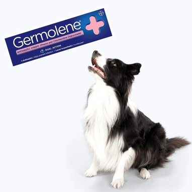 Can I Use Sudocrem On Dog