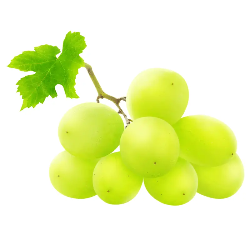 Grapes