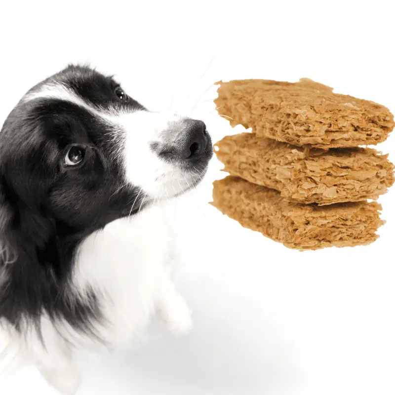 Can I Give My Dog Weetabix For Fibre?