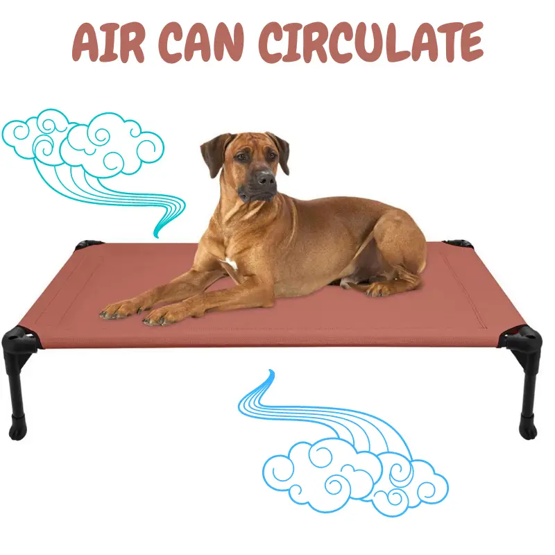 Raised dog bed, and a dog laying down - Text AIR CAN CIRCULATE