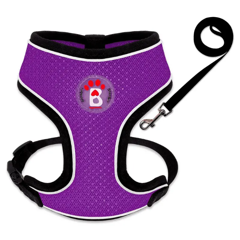 Purple Pomeranian harnesses and leash