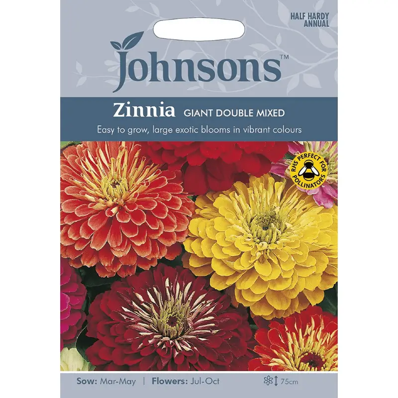 Are Zinnias Poisonous To Dogs? - Dog Friendly Scene