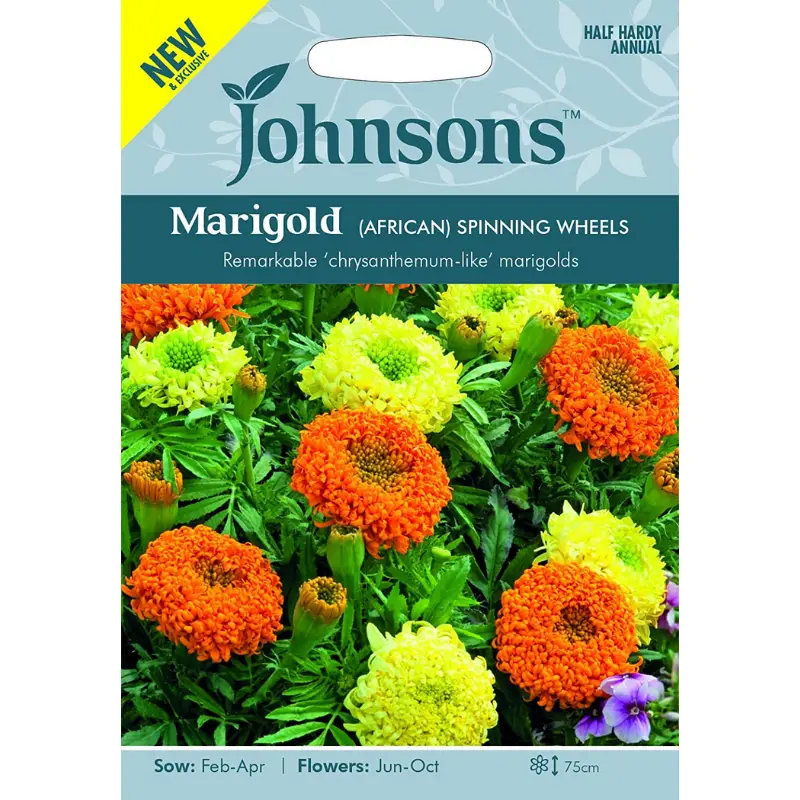 Marigold Seeds in a pack