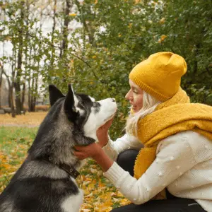 Woman training dog husky in the park