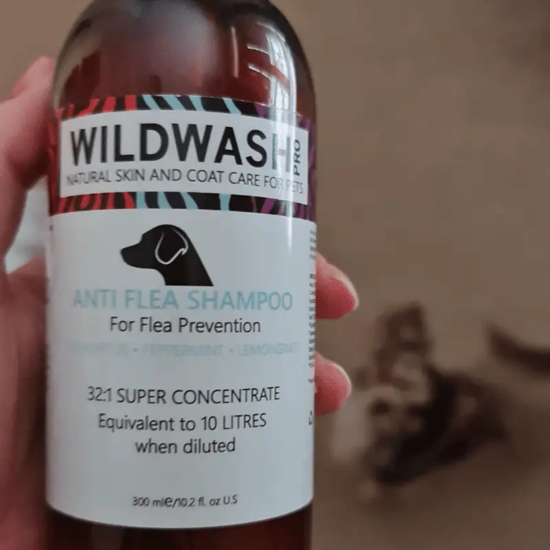 Holding a bottle of dog wash, with a dog looking up