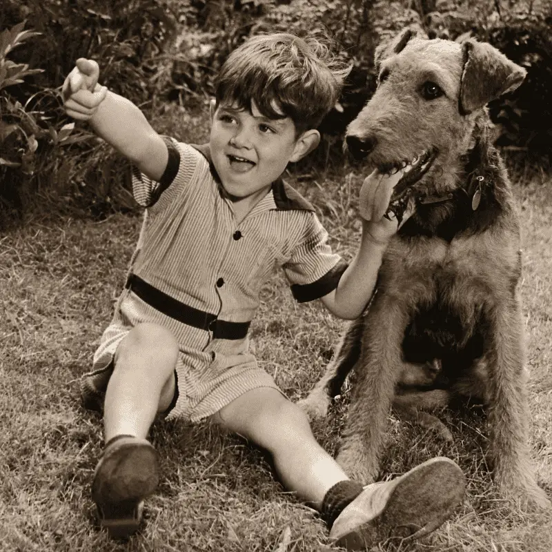 Old picture - A boy and an Airedale Terrier happily sitting on the grass together.