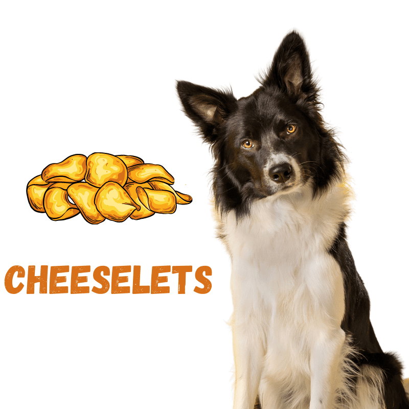 Cheeselets and a dog