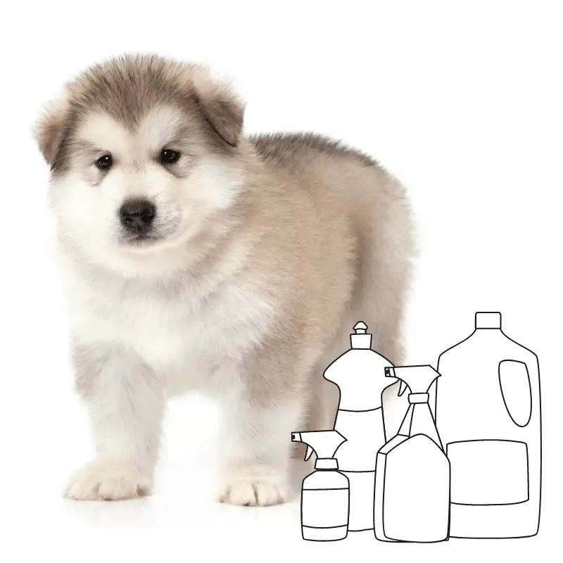 Cute fluffy puppy with some cartoon cleaning bottles next to him