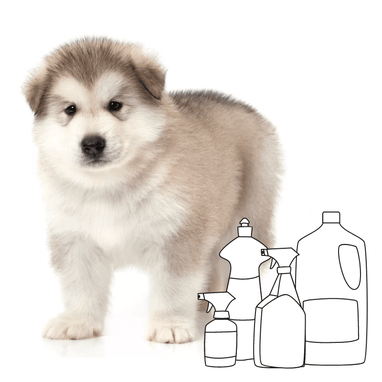 is dettol harmful to dogs