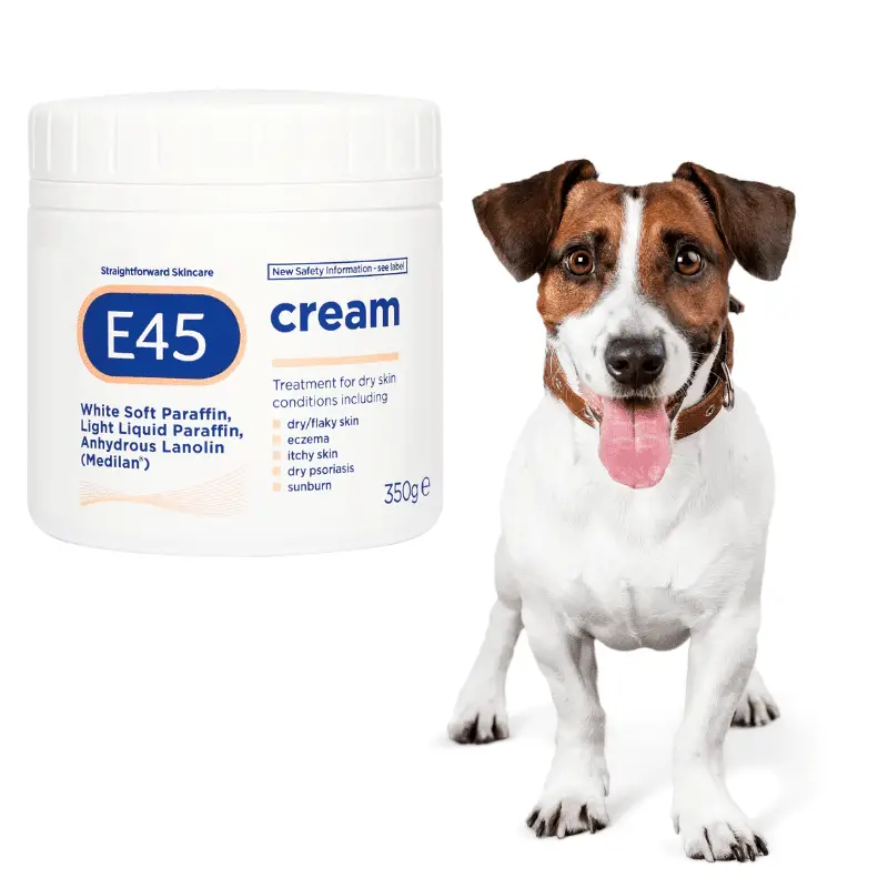 a pot of e45 cream and a dog sitting next to it