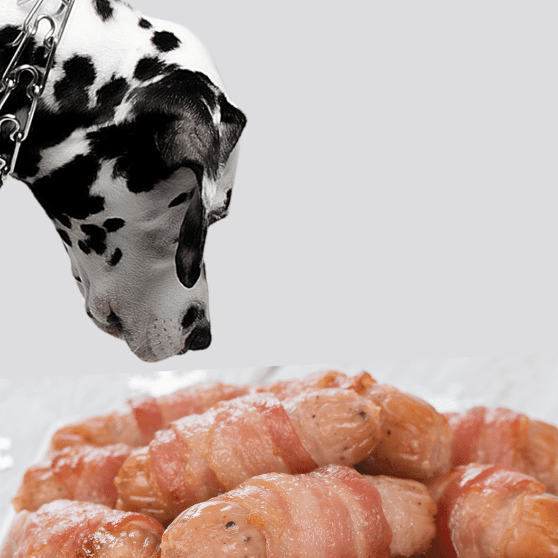 dog looking at some pigs in blankets - food