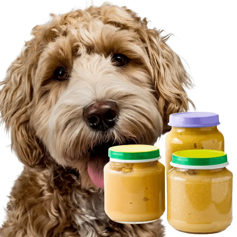 A dog and baby food jars