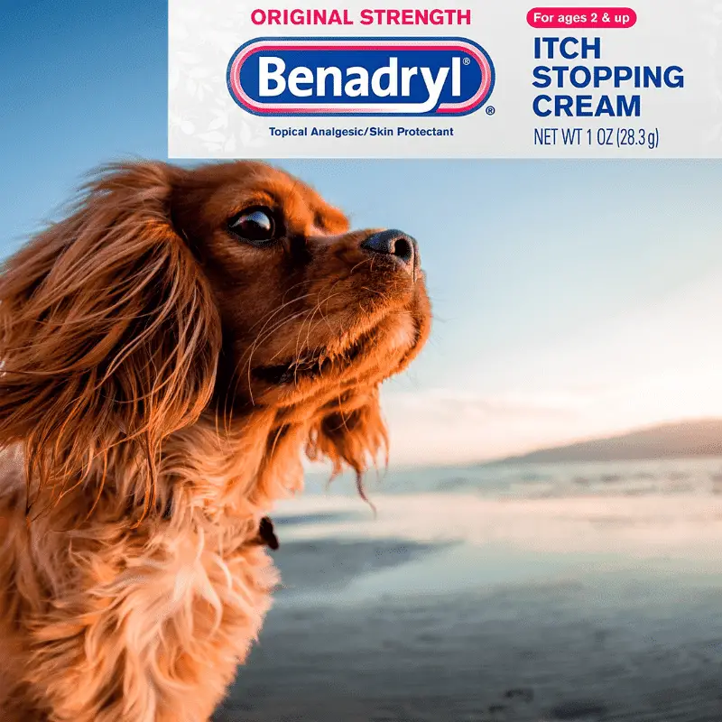Can I Put Benadryl Cream On My Dog?